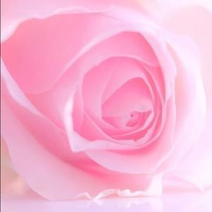 Welcome to my Catalog of Pre-loved Goods.